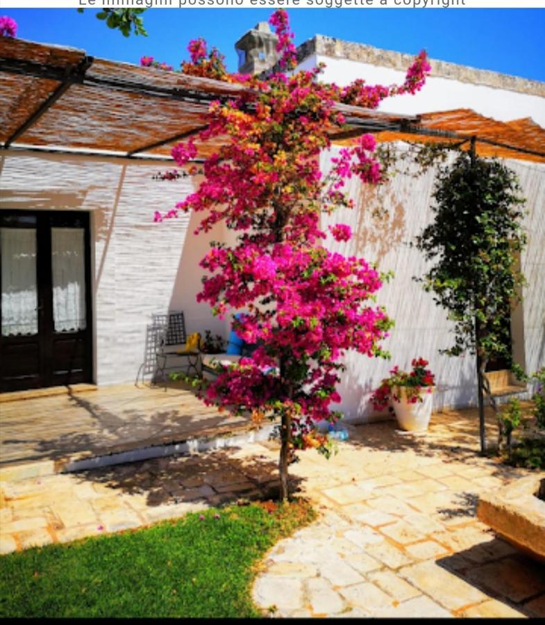 Room In Bb - Stunning Quadruple Room In Ancient Masseria Near The Sea In A Quiet Olive Trees Ostuni Ngoại thất bức ảnh