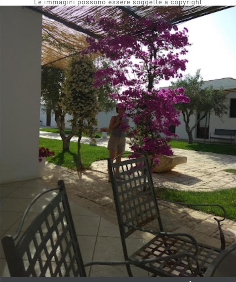Room In Bb - Stunning Quadruple Room In Ancient Masseria Near The Sea In A Quiet Olive Trees Ostuni Ngoại thất bức ảnh