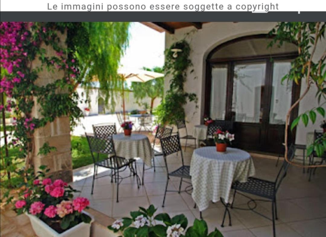 Room In Bb - Stunning Quadruple Room In Ancient Masseria Near The Sea In A Quiet Olive Trees Ostuni Ngoại thất bức ảnh