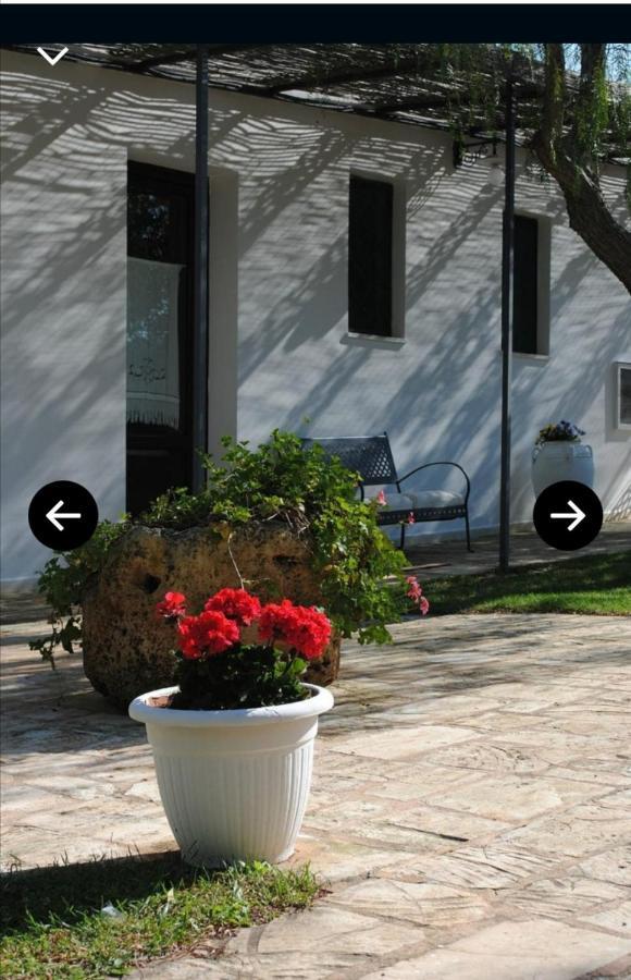 Room In Bb - Stunning Quadruple Room In Ancient Masseria Near The Sea In A Quiet Olive Trees Ostuni Ngoại thất bức ảnh