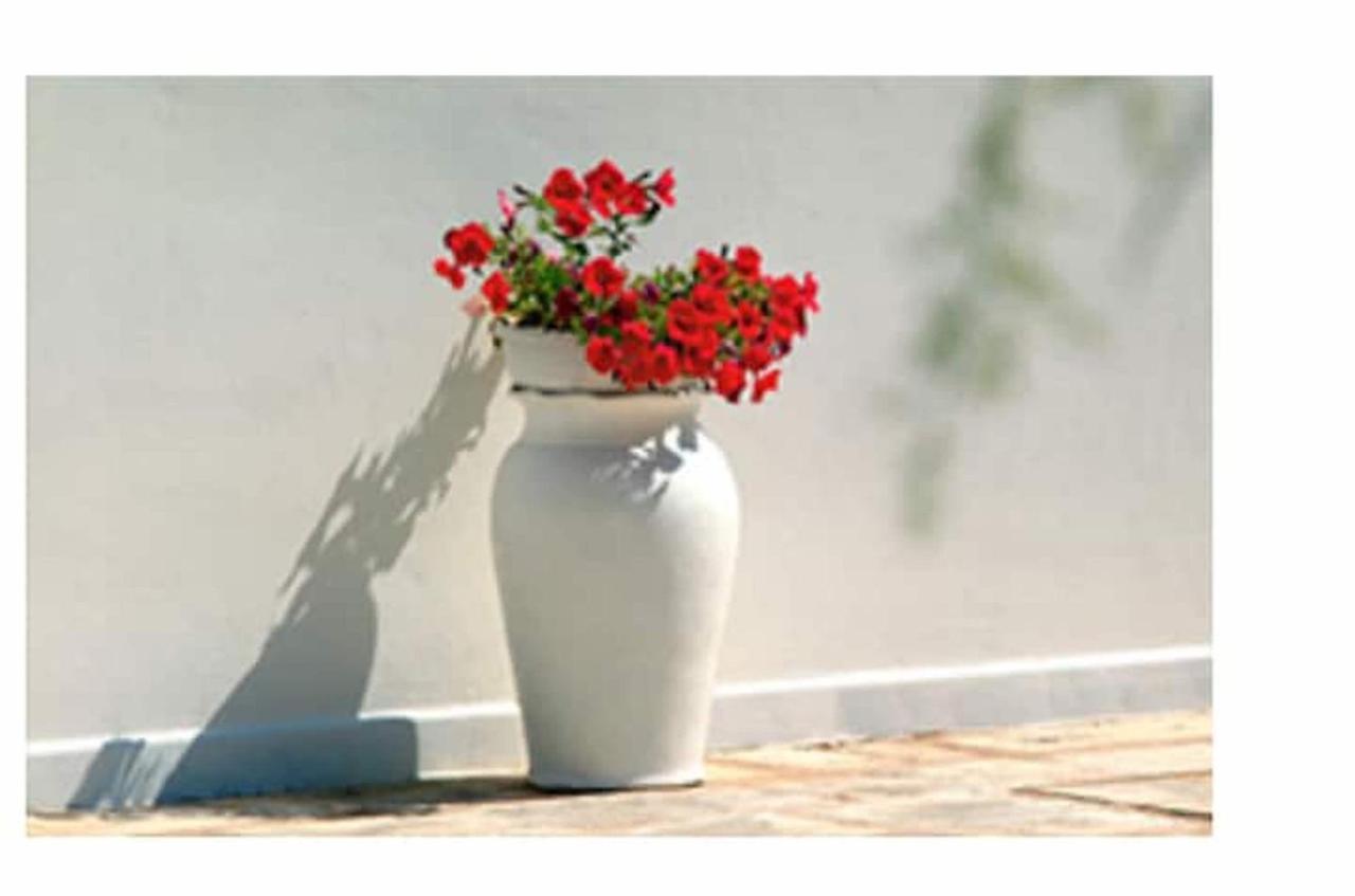 Room In Bb - Stunning Quadruple Room In Ancient Masseria Near The Sea In A Quiet Olive Trees Ostuni Ngoại thất bức ảnh