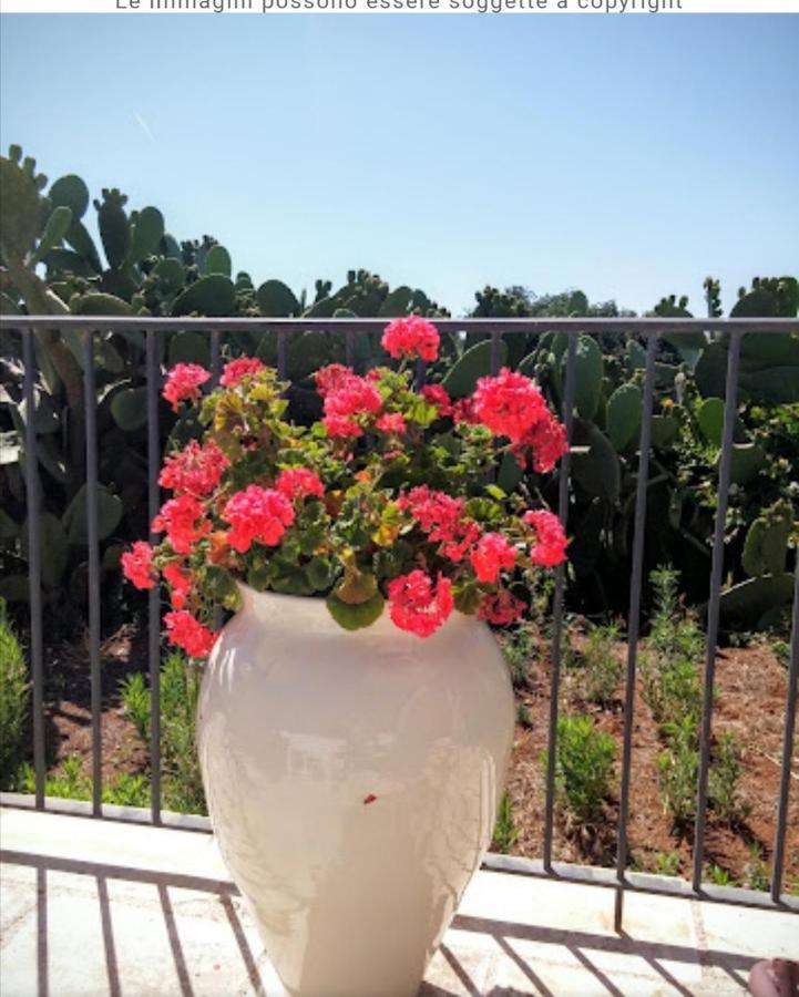 Room In Bb - Stunning Quadruple Room In Ancient Masseria Near The Sea In A Quiet Olive Trees Ostuni Ngoại thất bức ảnh